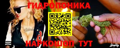ECSTASY Каменск-Уральский