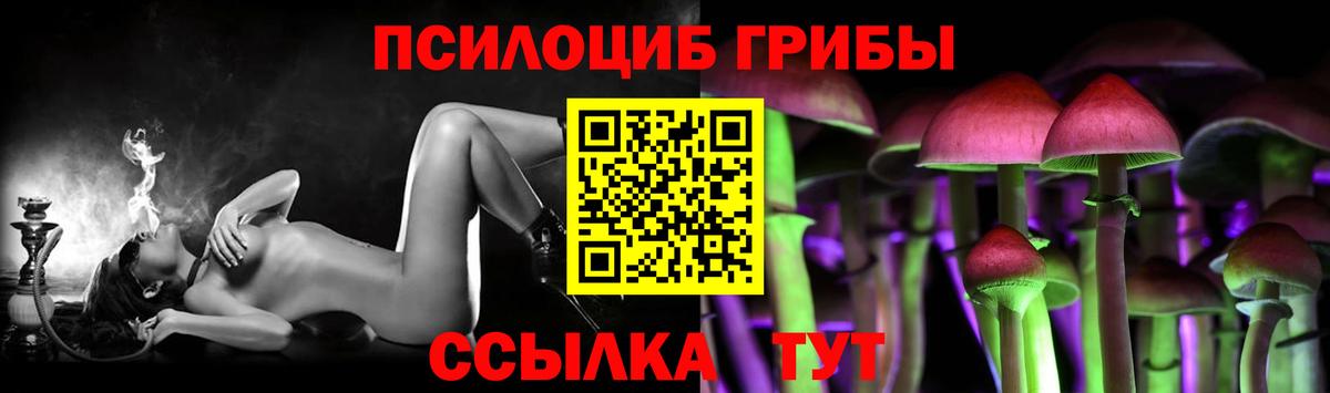 Благодарный  Галлюциногенные грибы MAGIC MUSHROOMS  Вход с VPN 